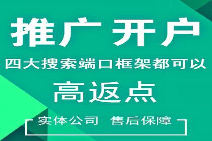 SEM推广策略如何制定——以某电商平台的成功案例为例